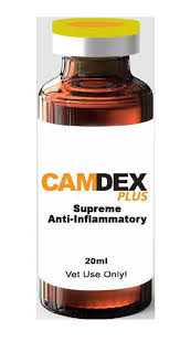 camdex plus advanced Equine and Camel Solutions is the industry leader in equine and camel health and performance products
