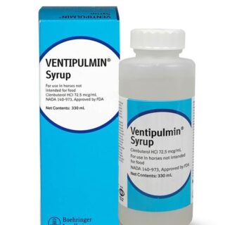 Ventipulmin Syrup 300ml