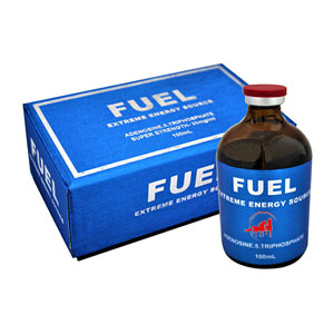 Buy Fuel 100ml Online – Fuel ATP