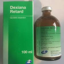 Dexiana Retard 100ml
