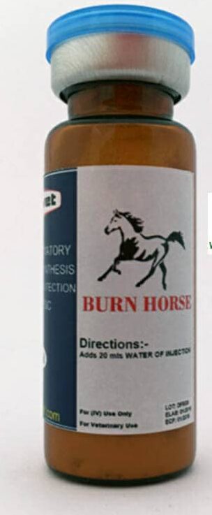 BURN HORSE