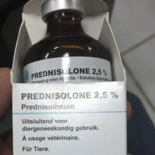 prednisolone 2.5