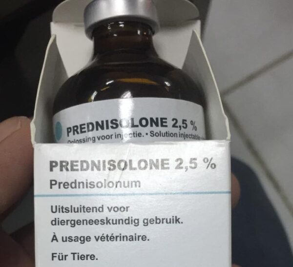 prednisolone 2.5