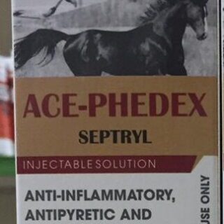 ACE-PHEDEX