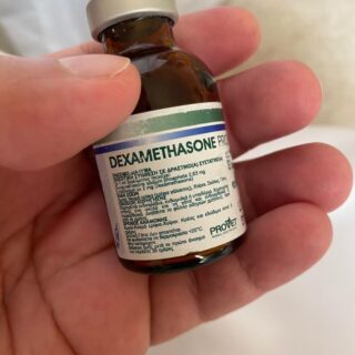 dexamethasone provet