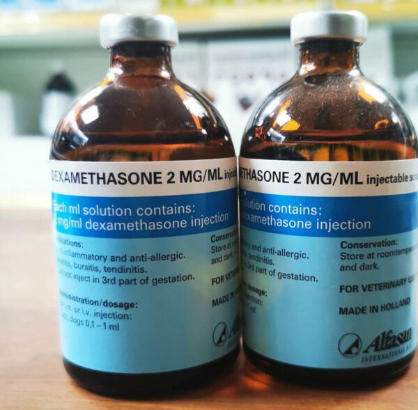 Dexamethasone 2mg/ml