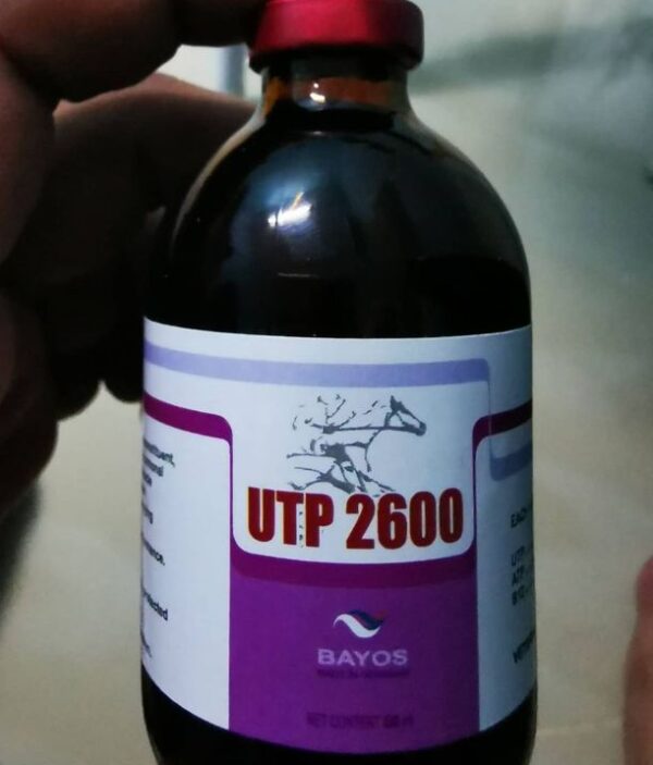 UTP 2600 injection