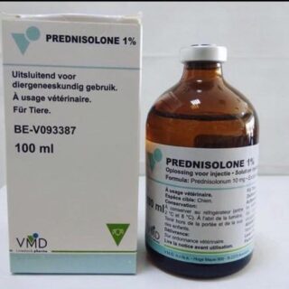 prednisolone 1%