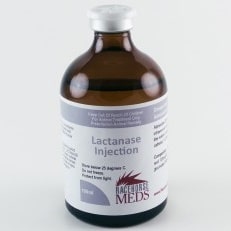 Lactanase Injection