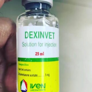 dexinvet 25ml injection