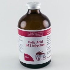 Folic Acid B12 100ml